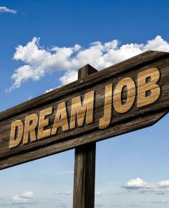 traumjob traumjob